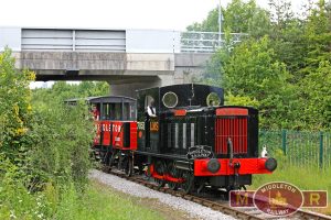 5R3C2795-001